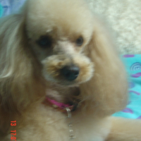 Photo #51475 de Kiara