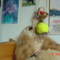 Photo #51493 de Kiara