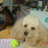 kiara_mer_et_man_039