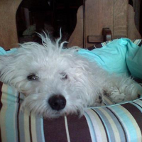 Photo #52387 de Mabelle
