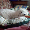 mabelle_cool