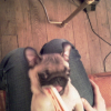IMAG0073