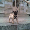 IMAG0076