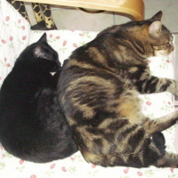 Photo #52741 de Poupoune