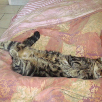 Photo #52759 de Poupoune