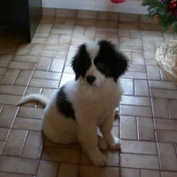 Photo #52981 de Doulhy