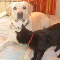 Photo #53053 de Nala