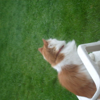Photo #53485 de Caramel
