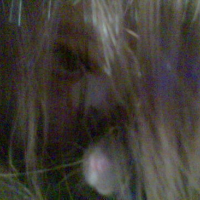 Photo #53515 de Vodka