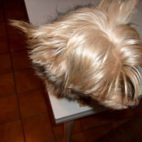 Photo #53563 de Looping