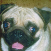 Photo #53593 de Oscar