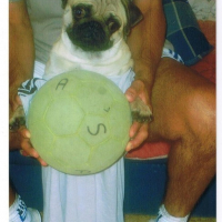 Photo #53599 de Oscar