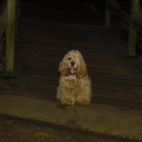 Photo #53713 de Upsa