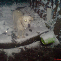 Photo #54217 de Dora