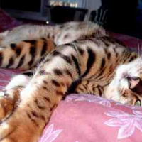 Photo #54637 de Bichat