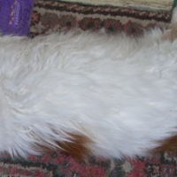 Photo #55453 de Stuff