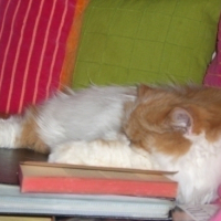 Photo #55567 de Stuff