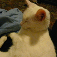 Photo #56029 de Neige