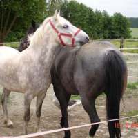 Photo #56509 de Marquez