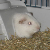Photo #57751 de Caramel