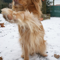 salut les amis !!!!