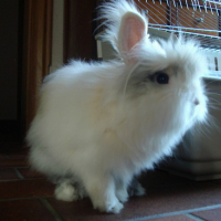 Photo #58615 de Bouchon