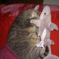 Photo #58657 de Vicky