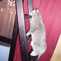 Photo #58663 de Vicky