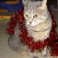 Photo #58669 de Vicky