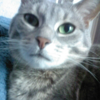 Photo #58699 de Vicky