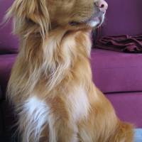 et encore une nouvelle pose...