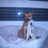 Photo #59959 de Tyson