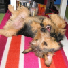 lou_fait_le_fou_2
