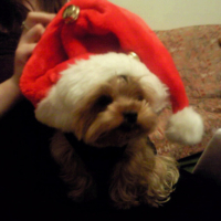 Photo #60283 de Joy