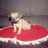 Photo #60703 de Maya