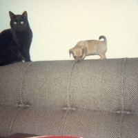 Photo #60709 de Maya