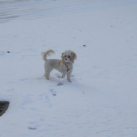 Photo #61147 de Bakara