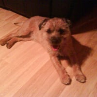 Photo #61243 de Smudge