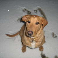 Photo #61939 de Dougle