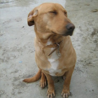 Photo #61957 de Dougle
