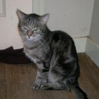 Photo #62281 de Sacha