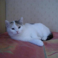 Photo #62311 de Blanche