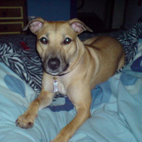 Photo #62437 de Roxy