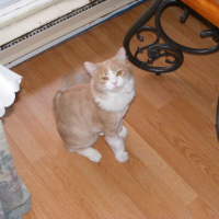 Photo #62911 de Pouding