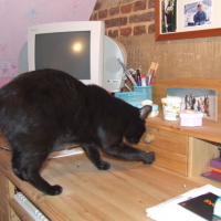 Photo #62953 de O'malley
