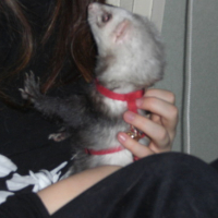 Oh câlin !! Trop chou