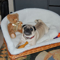 Photo #63415 de Sirius