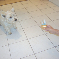 Photo #63457 de Casper