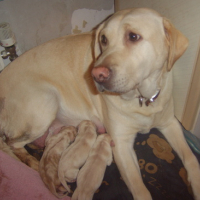 Photo #63493 de Rosie