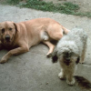 Photo_195